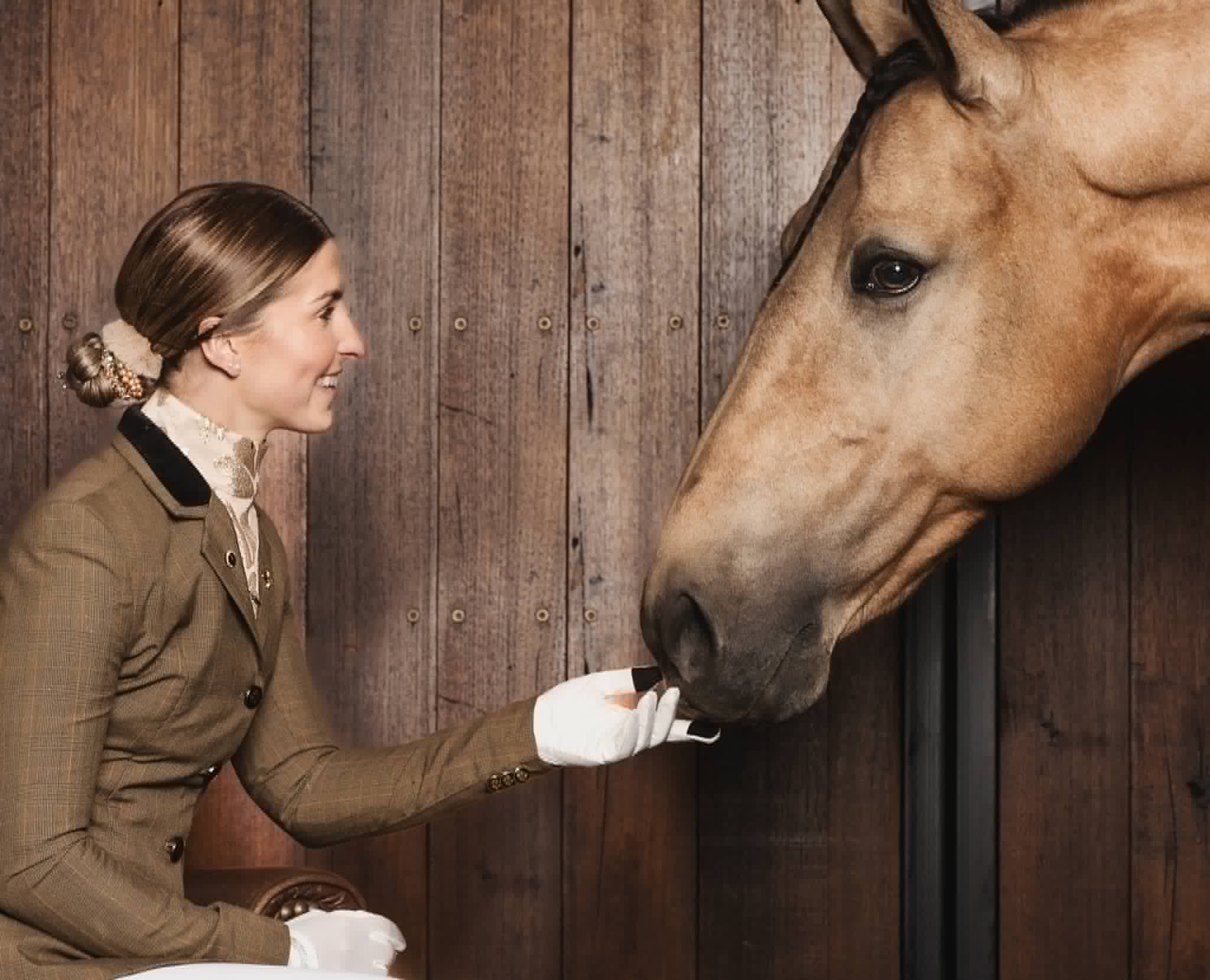 The ELORA Equestrian Stock.