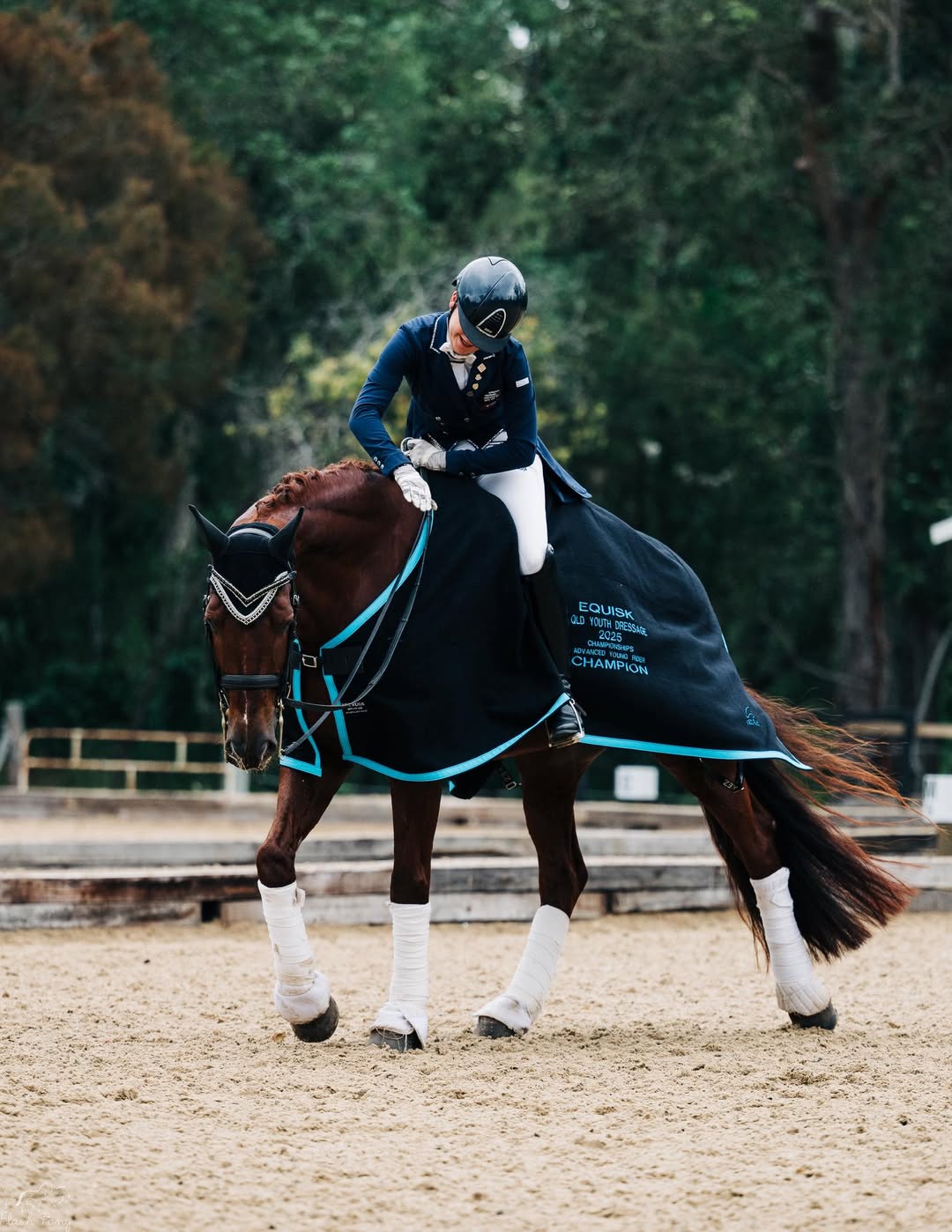 Felicity Shearer - Dressage