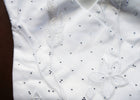 The STARLET Equestrian Stock
